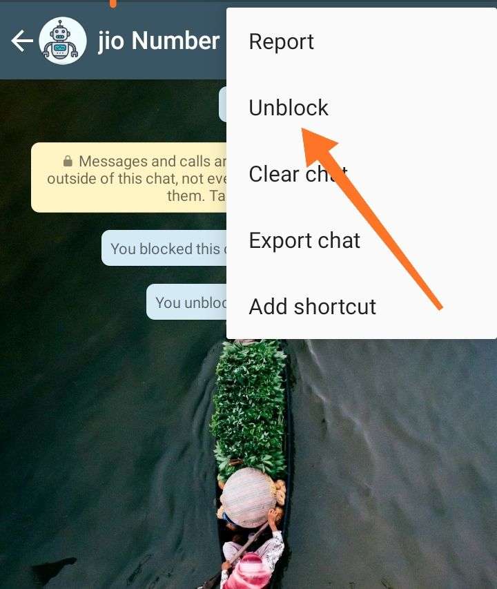 how to unblock whatsapp contact 3