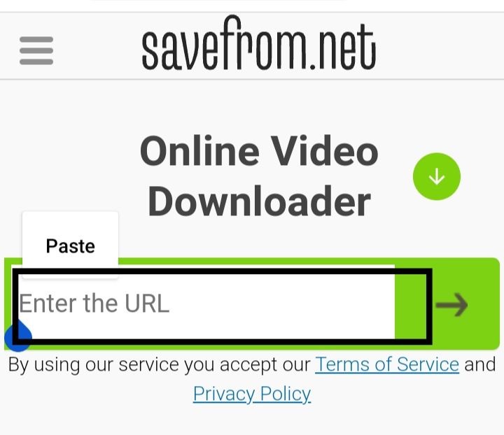 paste video url in savefrom.net