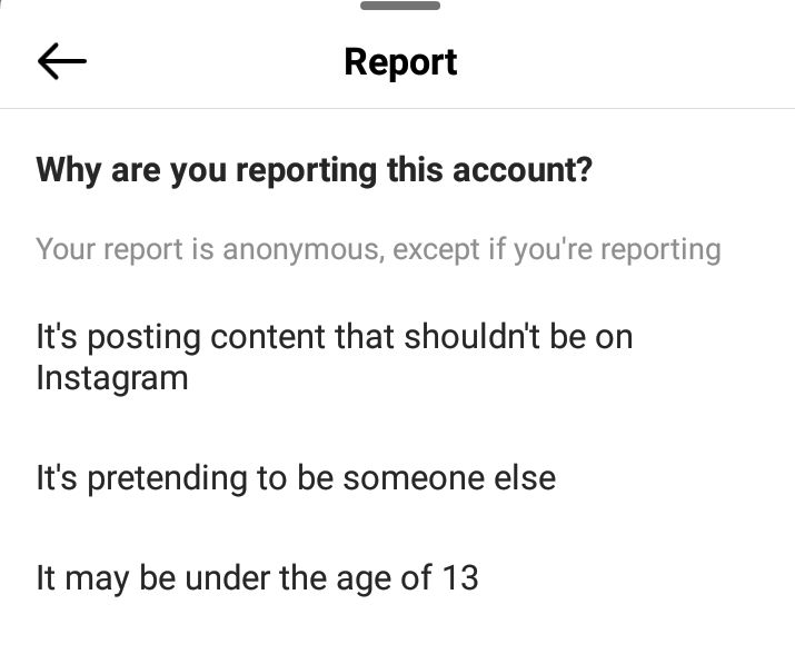 instagram report section